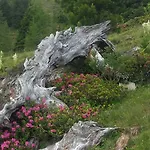 Simonbauerhof *