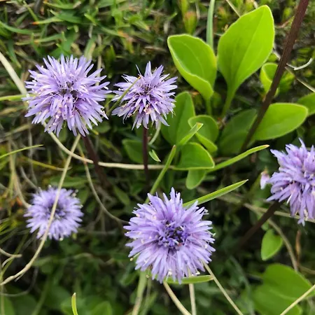 Фермерский дом Simonbauerhof Бад Кляйнкирххайм