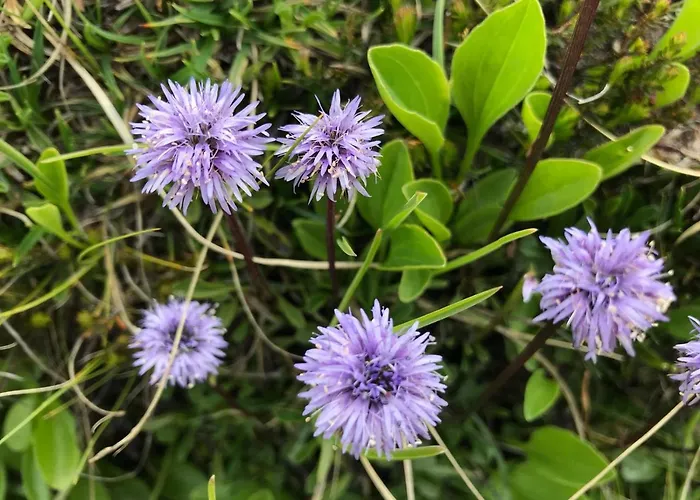 Alloggio per agriturismo Simonbauerhof Bad Kleinkirchheim